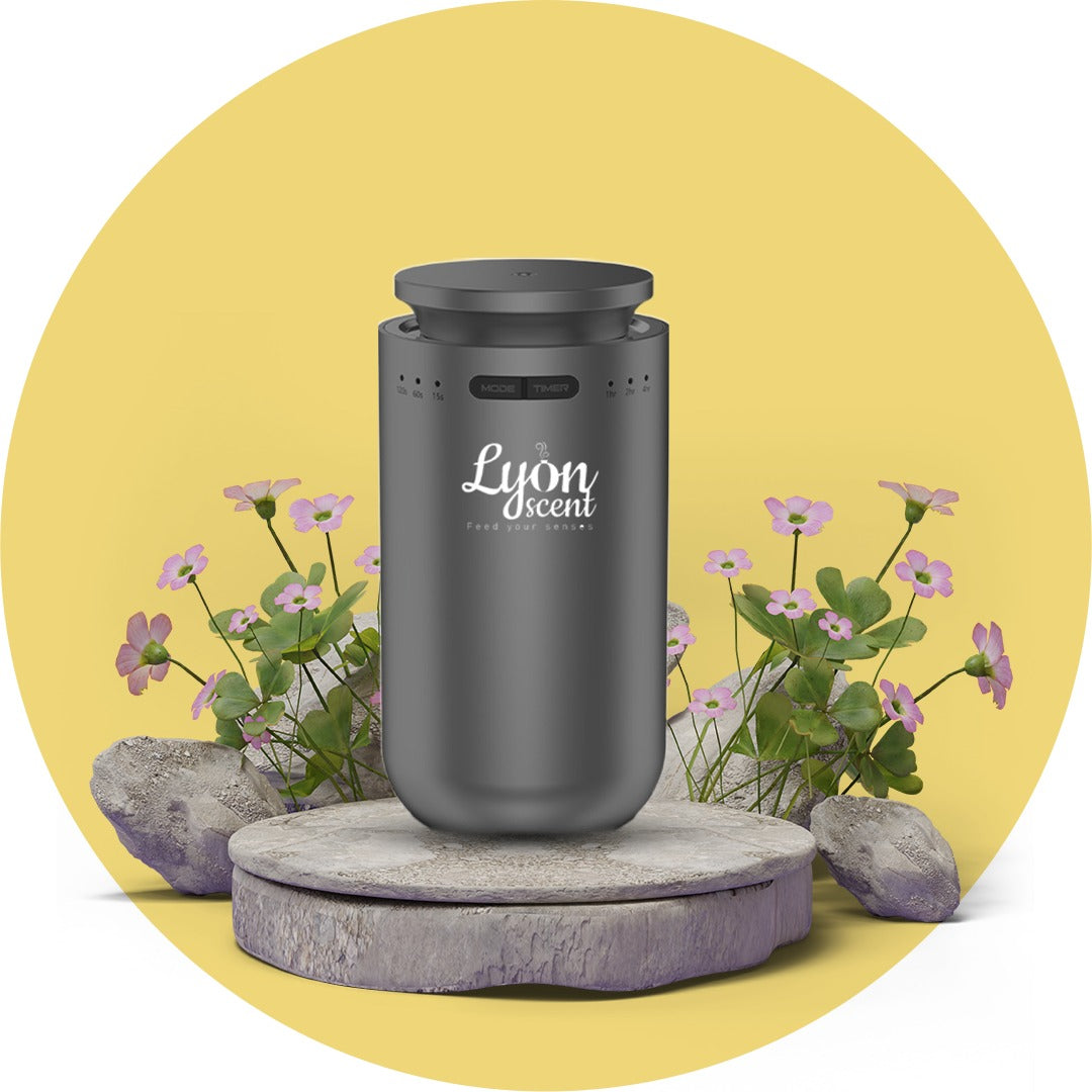 Diffuseur pour voiture